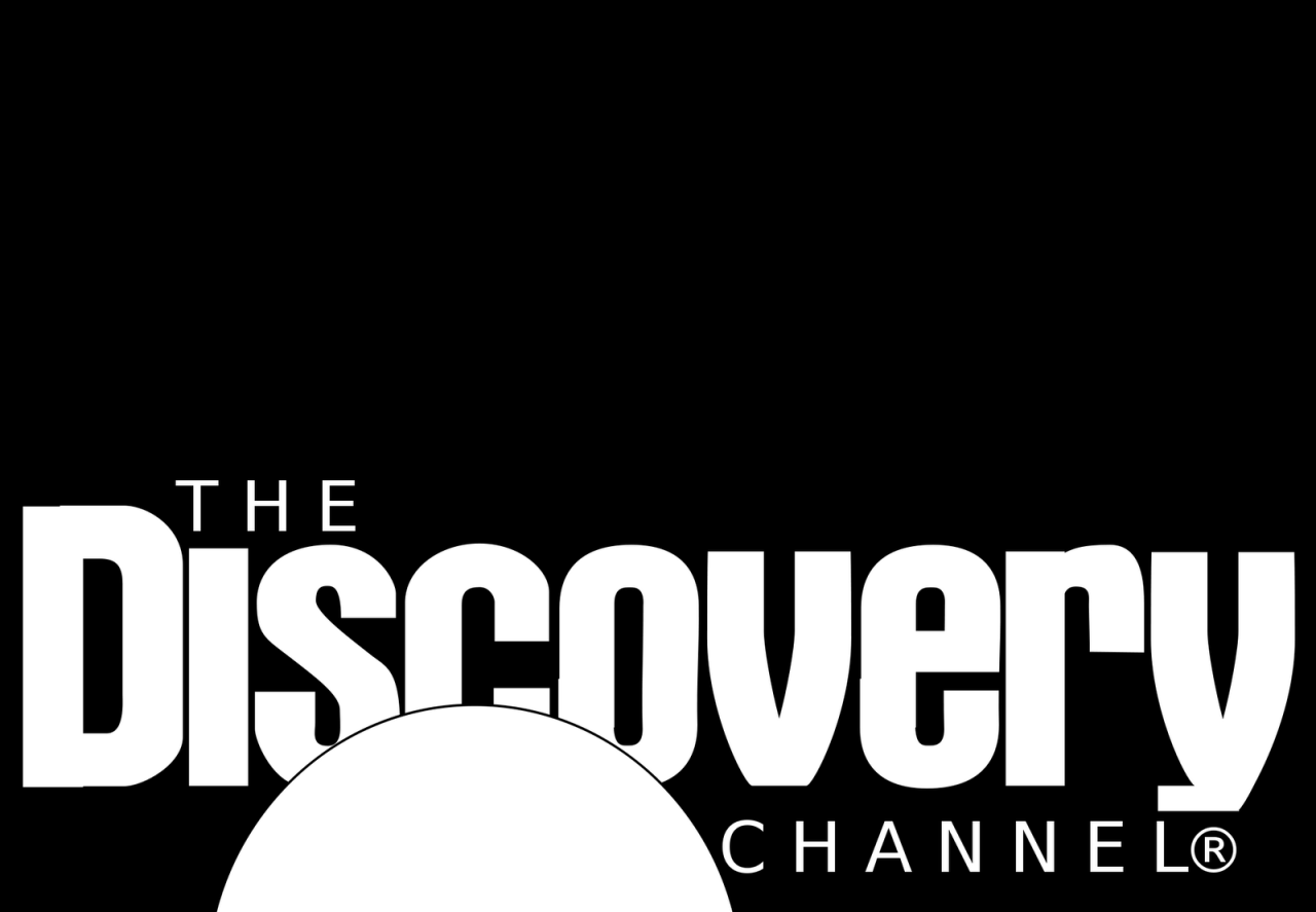Discover Airlines Unveils New Brand Identity: A Fresh Start for ... Discover Airlines Unveils New Brand Identity: A Fresh Start for ...