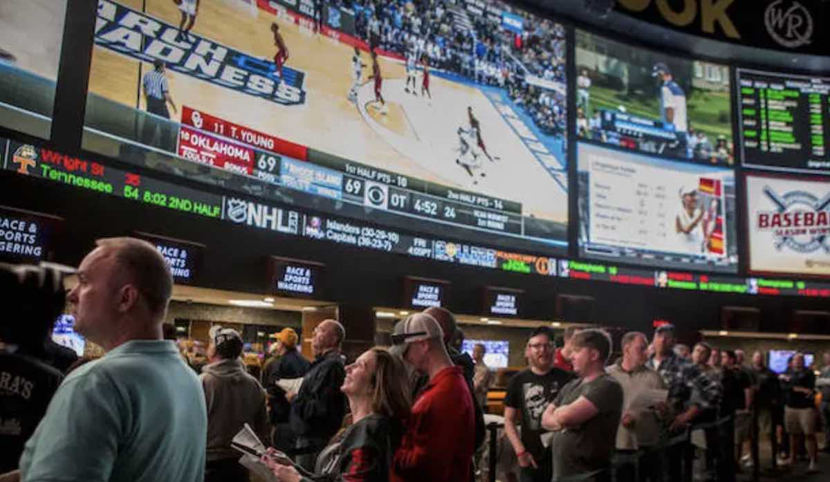The Most Important Sports Betting Statistics To Know In 2024 The Most Important Sports Betting Statistics To Know In 2024