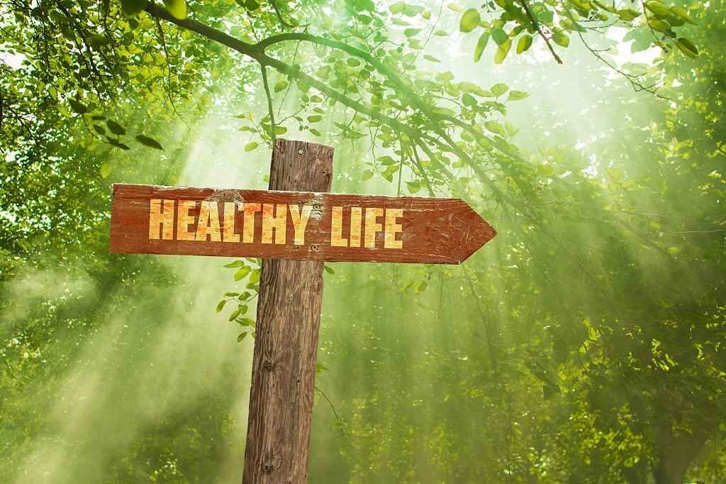 Support To Your Health Journey With These Lesser Known Tips Support To Your Health Journey With These Lesser Known Tips